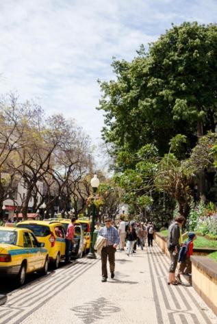 Central Funchal Apartment - Garden - Free Parking & Ac Экстерьер фото