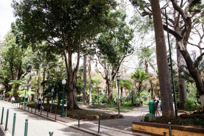 Central Funchal Apartment - Garden - Free Parking & Ac Экстерьер фото
